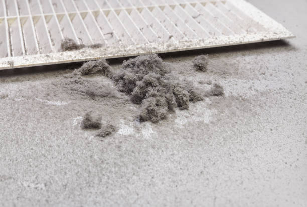 Best Affordable Air Duct Cleaning  in Loudoun Lley Estates, VA