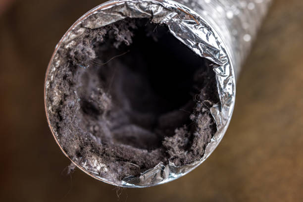 Best HVAC Air Duct Cleaning  in Loudoun Lley Estates, VA